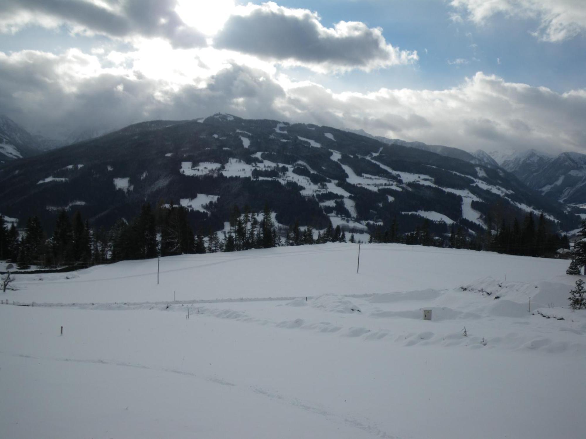 Austrian Alpine Apartments Ramsau am Dachstein Exterior foto